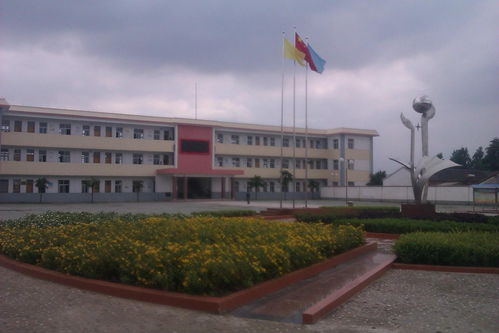 寿县安丰中心校
