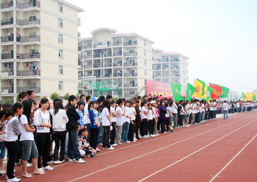 合肥信息技术职业学院就业指导中心