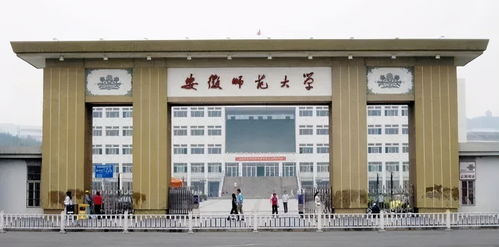 安徽师范大学,布局省会 或设立新校区