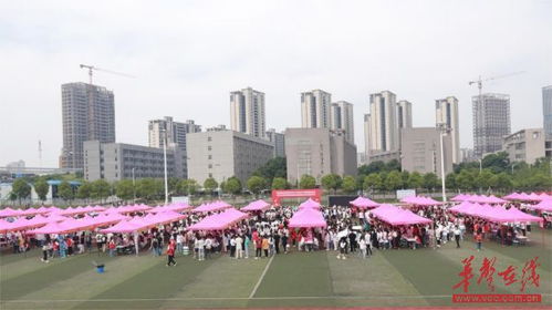 133家优质企业 5000余个专业岗位 湖南食品药品职业学院让学生在 家门口 优质就业