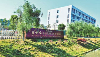厉害了 合肥日报 专版报道巢湖市这项工作