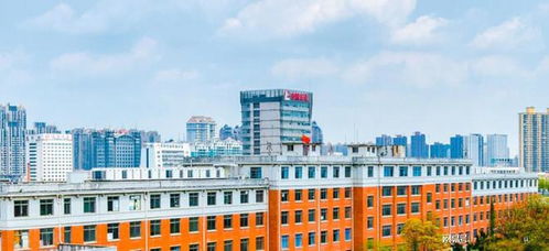 安徽最强的3所大学, 学科实力非常突出, 第一所只有学霸能考上