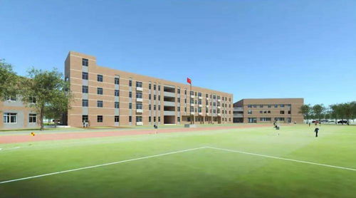 大波亮点 乡村振兴 新建学校 道路 迁医院 2020年嘉定这些街镇要干哪些大事