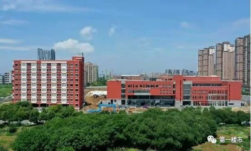 高新自贸区重磅 35大项目集中签约 总金额达46亿