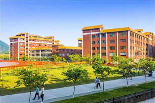 广州珠江职业技术学院2019年人才引进计划