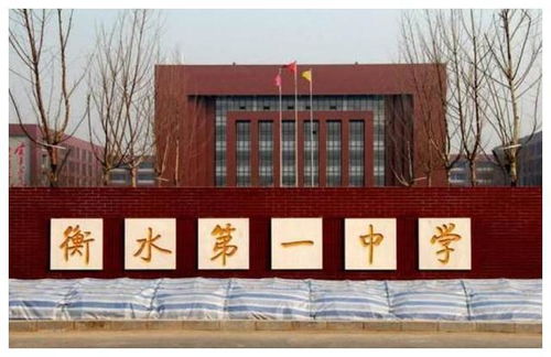 高考加工厂 迎来坏消息,学校进退两难,家长却拍手叫好