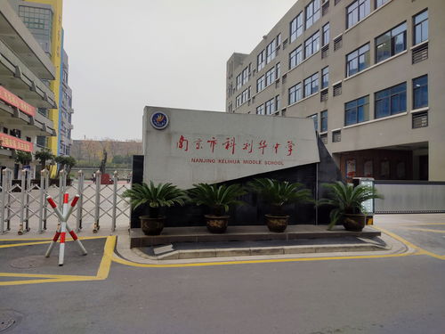 南京市科利华中学联合民安应急救援中心开展校园急救技能专项培训活动
