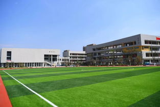 独家探访 新学期,包河投入使用的11所新校园,开启逐梦新篇章