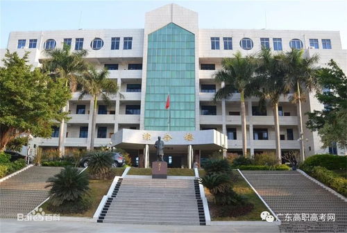 公办 阳江职业技术学院2020年3 证书招生计划