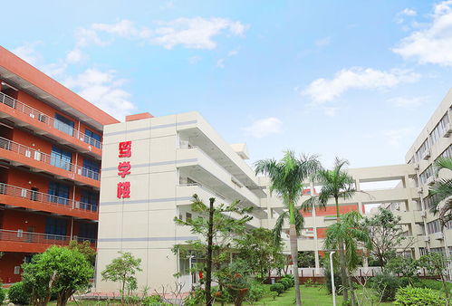 校园风景
