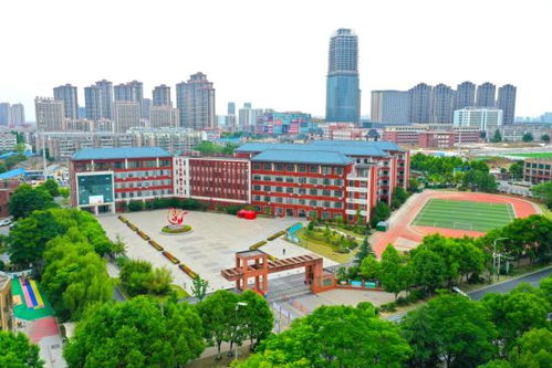 安徽肥西五所校园获合肥市绿色学校称号