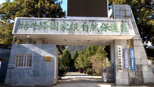 安凌中心学校开展 走出课堂,拥抱自然 生态研学活动