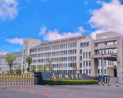 合肥城市学院公布2023年专升本考试招生简章