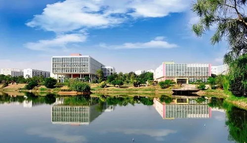 重磅 福建拟向教育部申报设置4所本科学校,泉州有2所入围