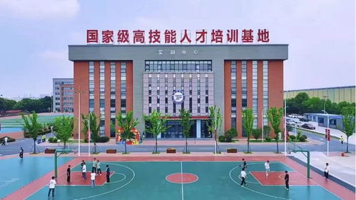 合肥腾飞学校,让每个中考普高落榜生像花一样绽放