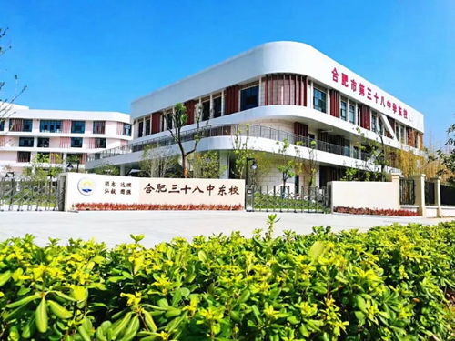 考德上2020年合肥市瑶海区招聘中小学教师资格复审递补公告
