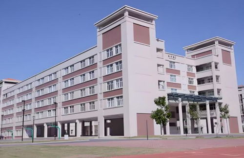 辽宁7所大学被点名批评曝光,毕业证一文不值,家长报考需谨慎