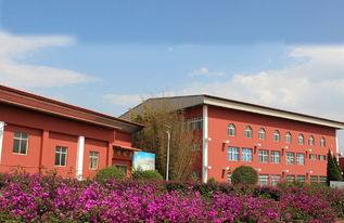 云南新兴职业学院 2019年 就业