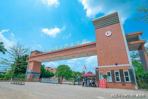 广东南洋理工职业学院高职扩招简介