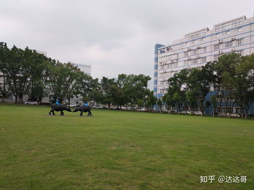 参观深圳职业技术学院