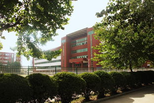 热烈庆祝石家庄经济职业学院2013届护理专业护士资格证过线率高达97