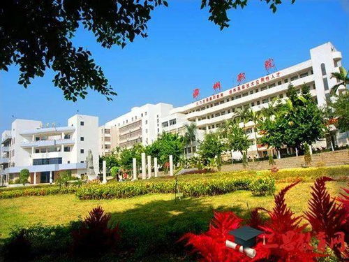龙海职校2020年秋季招生及填报志愿须知