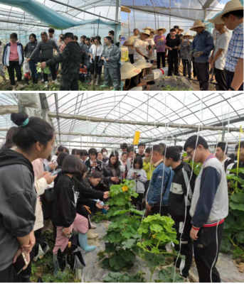 力学笃行，用工匠精神铸就教学实训创新之路