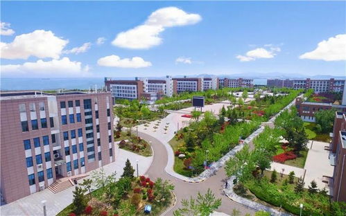 欢迎来到威海上大学职业学校 成就未来的理想起点